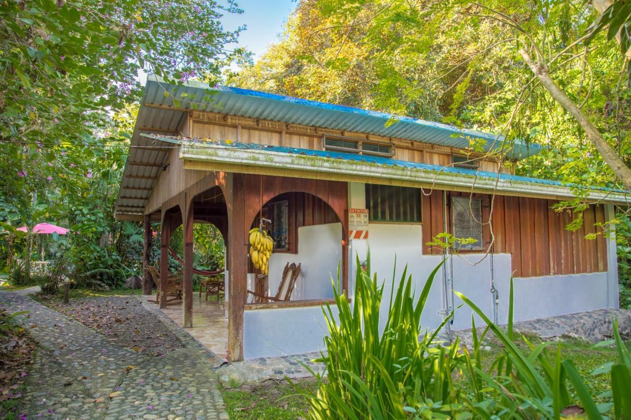 Cabinas Iguana Кахуита Екстериор снимка